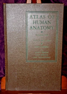 Atlas Of Human Anatomy with Explanatory Text by Jesse Williams 1935 1st Press - Picture 1 of 8