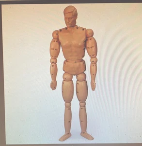 Simulaids Randy 9000 Adult Rescue Training Manikin - Complete - Picture 1 of 8
