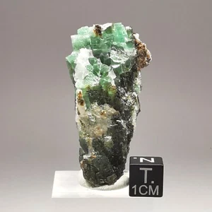 Esmeralda de 103,1 quilates con matriz / Khaltaro, Pakistán / muestra de piedras preciosas de cristal en bruto - Imagen 1 de 14