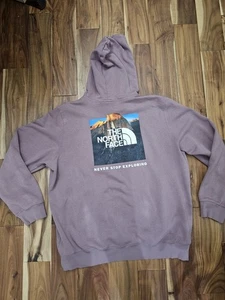 The North Face Herren Box NSE Pullover Hoodie Rehbraun Grau XXL - Bild 1 von 10