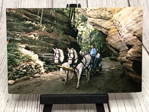 Cartolina Wisconsin Dells WI Lost Canyon carrozza trainata da cavalli Wisconsin - Foto 1 di 4