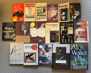 Black African American Literature Fiction Lot (17) Toni Morrison Langston Hughes - Picture 1 of 6