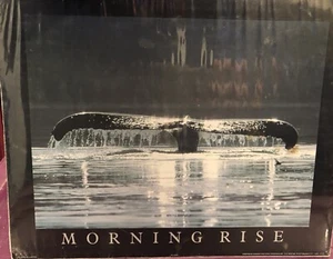 Whale Wall Art Breaching/Tail Photos Two 8x10 Prints Suitable For Framing NEW - Picture 1 of 3