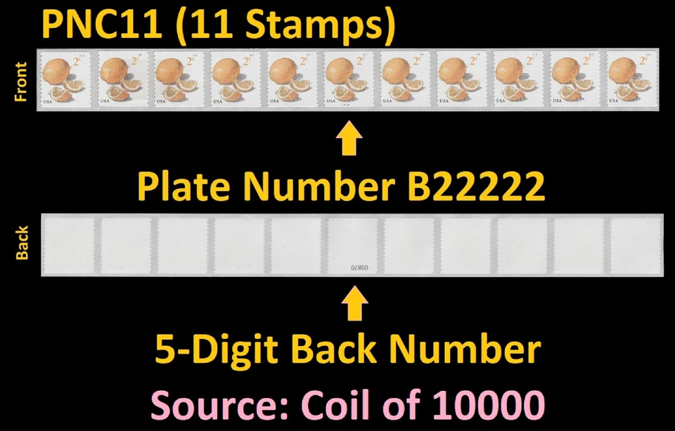 US 5256 Meyer Lemons 2c #on# PNC11 B22222 5d back # MNH 2018 - Image 1 of 1