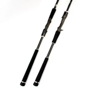 Versatile Spinning & Casting Fishing Poles: Ergonomic Grip, Durable Black Design - Picture 1 of 15
