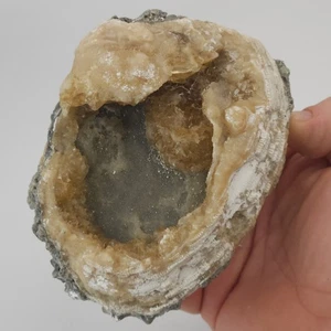 Ruck's Pit Calcite Clam Fossil - Mercenaria permagna - Ft. Drum, Florida - Picture 1 of 7