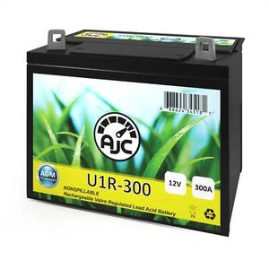 Dixon ZTR 4422 Zero-Turn U1R Lawn Mower and Tractor Replacement Battery - Picture 1 of 6