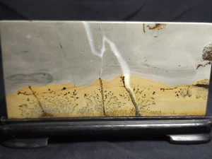 Chinese Picture Jasper Polished slab with stand 4.75"x2.5"x.25" (5 oz.) H4 - Picture 1 of 3