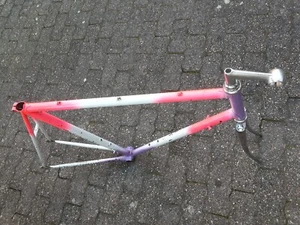 Rennrad Rahmen mit schöner Gravur Und Einem C - Picture 1 of 23