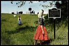 Postcard Chrome Logan's Approach Vicksburg Natl Military Park Civil War