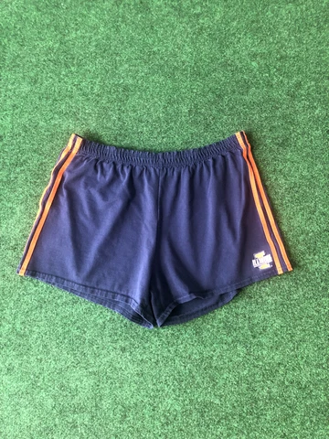 Vintage University Of Illinois Fighting Illini Shorts Women’s Size Large Dodger Cover