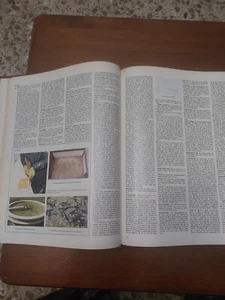 Enciclopedia Salvat antigua completa | Colección vintage en buen estado - Imagen 1 de 6