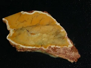 Dendtritic Opal  2 7/8 " x 2  3/4" -rough -cabbing-display-Geology-collection - Picture 1 of 3