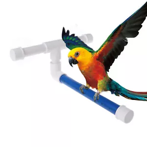 Shower Window Perch For Parrots And Birds, Medium/Large Bird Size - Picture 1 of 11