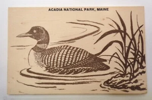 Wood Postcard LOON Acadia National Park Maine Wooden VTG 1990s National Novelty - Picture 1 of 4
