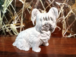 AUGARTEN Wien, Figur, Hund: Tibet Terrier 1631 - Höhe 13,5cm - Picture 1 of 8