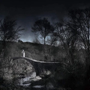 Wear Your Wounds - Last on the Gates of Heaven [CD] - Picture 1 of 1