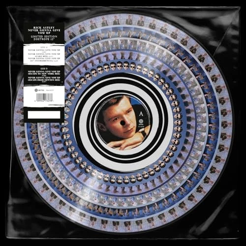 Rick Astley Never Gonna Give You Up [сингл Zoetrope 12 дюймов] пластинки и пластинки новые - Изображение 1 из 1