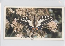 1983 Doncella British Butterflies Tobacco Swallowtail #30 1i3