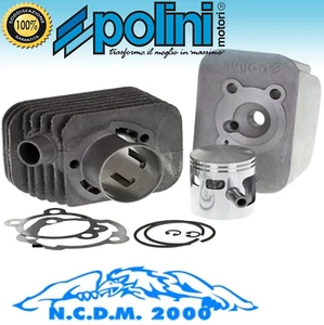 GRUPPO TERMICO POLINI 75cc CILINDRO Ø46 SPINOTTO Ø10 PIAGGIO CIAO - Imagen 1 de 6