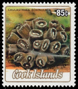 COOK ISLANDS 807 - Pazifische Korallen ""Caulastracea echinulata"" (Pb92197) - Bild 1 von 1