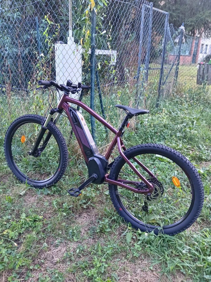 48 Migliori raggi bicicletta nel 2023 (recensioni, opinioni, prezzi