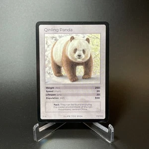 Life TCG Qinling Panda Rara #119/100 - Solo 2.000 carte stampate! - quasi nuovo - Foto 1 di 3