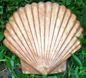 Shell stepping stone mold concrete cement plaster mould 12" x 12" x 2" thick - Picture 1 of 7