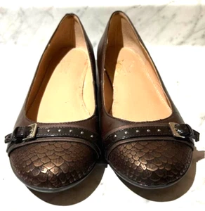 Naturalizer braune Ballerinas Reptilienmuster mit Absatz 8,5 - Bild 1 von 6
