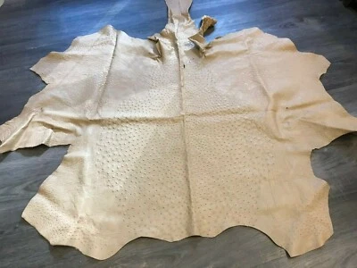 Piel de avestruz beige Foto 1 de 4