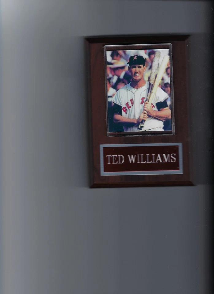 TED WILLIAMS PLAQUE BASEBALL BOSTON RED SOX MLB - Image 1 of 1