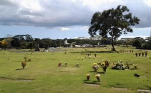 Hawaii Cemetery Plot For Sale - Picture 1 of 2