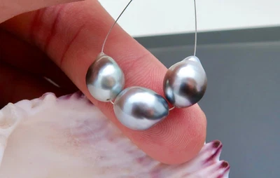AA+ 3 BEAUTIFUL HIGH GRADE TAHITIAN CULTURED PEARLS - SILVER COLORFUL PEARLS - Image 1 of 4