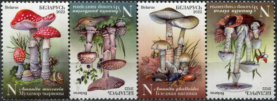 Belarus 2022. Poisonous Mushrooms of Belarus (MNH OG **) Block of 4 stamps - Image 1 of 1