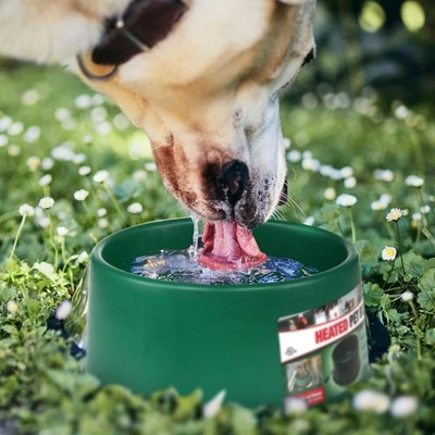 Farm Innovators 1.5Gal Heated Pet Bowl Green 60W Anti-Chew Cord Dogs Cats Winter - Image 1 of 4