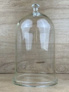Vintage Apotheker PYREX Glocke Glas mit Knopf Flansch große Cloche Taxidermie - Bild 1 von 24