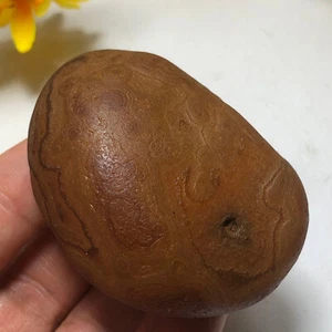 101g Bonsai Suiseki-Natural Gobi Agate Eyes Stone-Rare Stunning Viewing-A27 - Picture 1 of 14