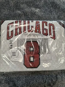 NWT Men's Zach Lavine Chicago Bulls Nike Authentic City Edition Jersey  - Picture 1 of 4