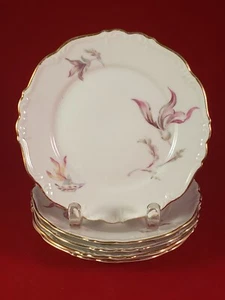 EDELSTEIN BAVARIA MARIA THERESIA LONGVIEW 17271 5 BREAD & BUTTER 6 1/8" DIAMETER - Picture 1 of 10