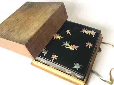 Y4373 CAJA Makie Suzuri Estuche Hojas de Otoño Japón Antiguo Vintage Almacenamiento Interior Foto 1 de 4