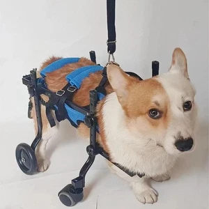 Carro para silla de ruedas para perros - Imagen 1 de 5