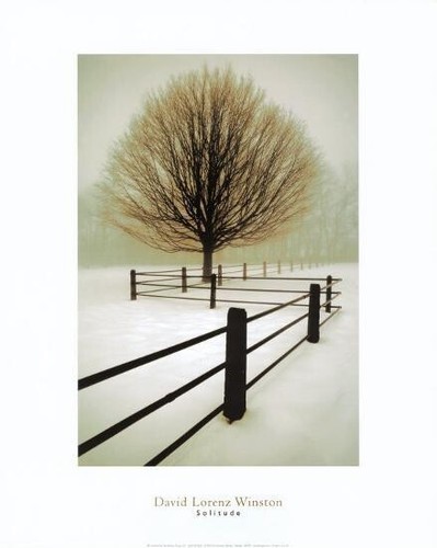 Solitude David Lorenz Winston Photograph Landscape Print