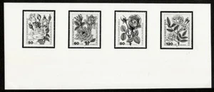 Photo Essay, Berlin Sc9NB193-6 Flower, Rose. - Picture 1 of 1