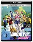 Birds of Prey - The Emancipation of Harley Quinn (4K Ultra-HD) (+ Blu-ray 2D)