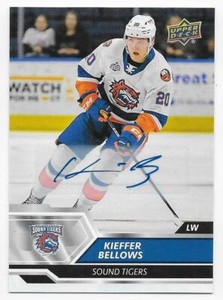 19/20 UPPER DECK AHL AUTOGRAPH PARALLEL Hockey (#1-90) U-Pick From List