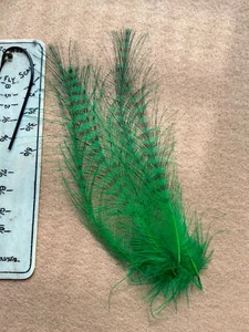 Kori Bustard neck feathers in colors shown - Picture 1 of 9