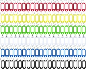 120 Pack Plastic Key Tags with Label Window ID Tag & Split Ring Keychain6 Colors - Picture 1 of 6