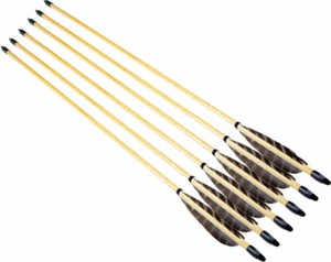 6Pcs 80cm Traditional Hunting Archery Wooden Arrows W Real Feather Suit Longbow - Picture 1 of 9