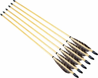 6Pcs 80cm Traditional Hunting Archery Wooden Arrows W Real Feather Suit Longbow  - Image 1 of 4
