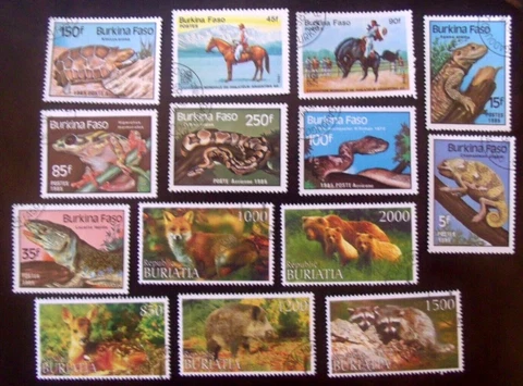 Burkina Faso & Buriatia Stamps Lot#D90  Reptiles & Animals Cover